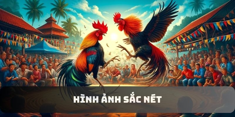 Hình ảnh cập nhật sắc nét, giao diện đơn giản Hình ảnh cập nhật sắc nét, giao diện đơn giản