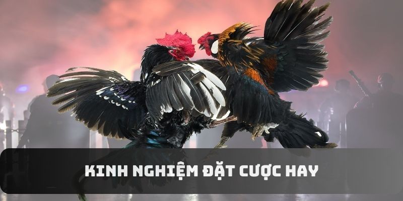 Kinh nghiệm giúp bạn giành chiến thắng khi tham gia Kinh nghiệm giúp bạn giành chiến thắng khi tham gia
