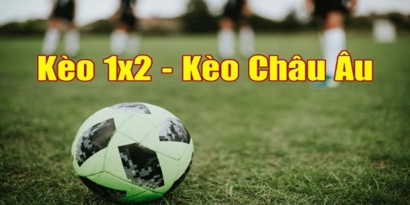 Khám phá định nghĩa cơ bản về kèo Châu Âu Khám phá định nghĩa cơ bản về kèo Châu Âu